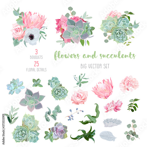 Succulents, protea, rose, anemone, echeveria, hydrangea, decorative plants big vector collection