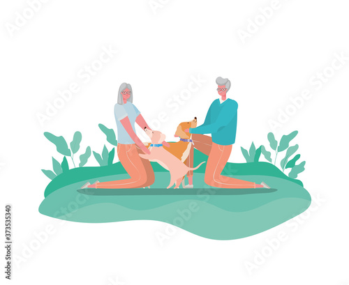 Senior woman and man cartoons with dogs at park design, Activity theme Vector illustration