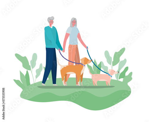 Senior woman and man cartoons with dogs at park design, Activity theme Vector illustration