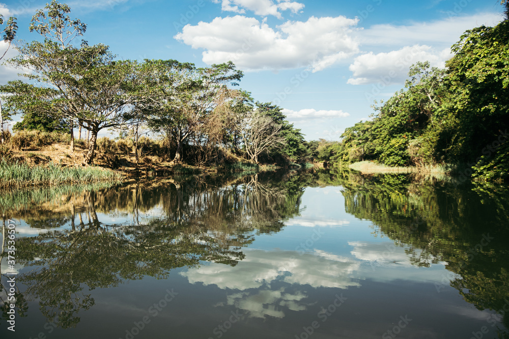 Rio  São Francisco 
São Francisco River