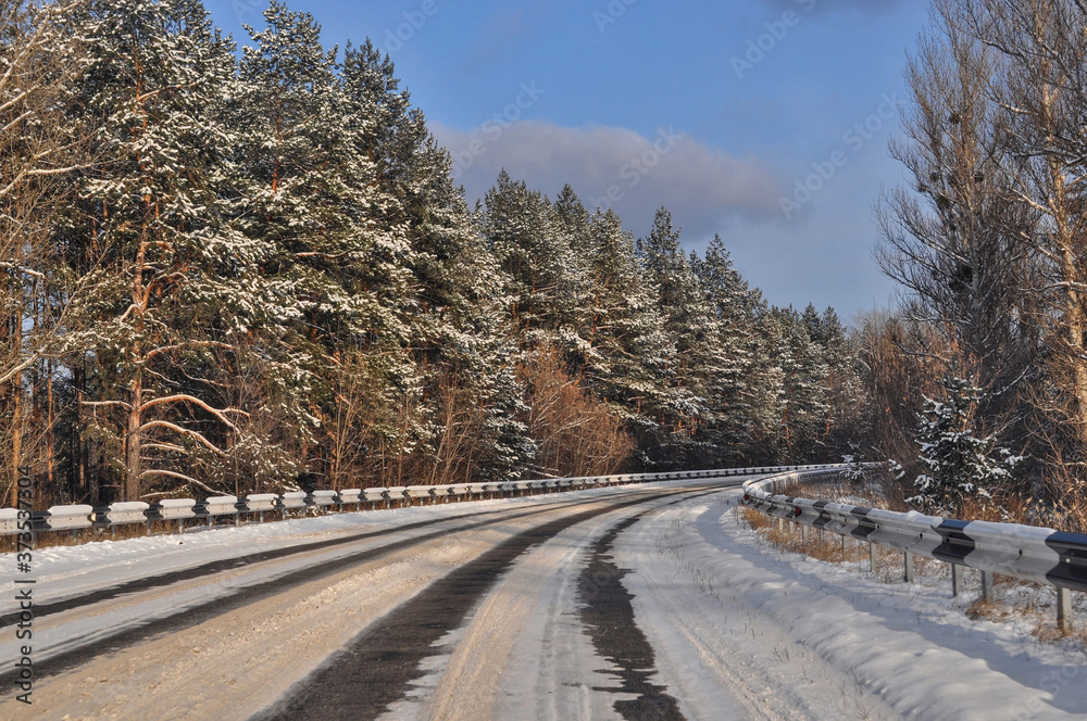 Fototapeta premium road in winter forest