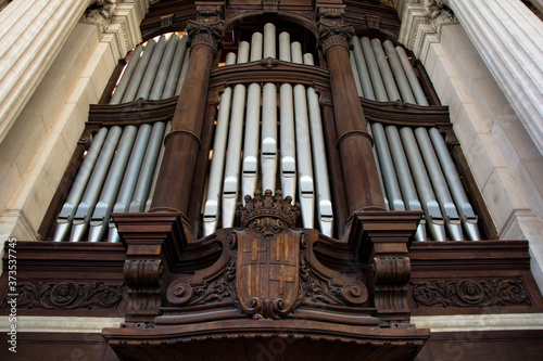 organ pipe organ