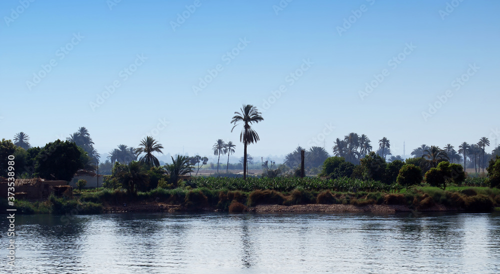 Coastline of the Nile river. Egypt Nile cruise