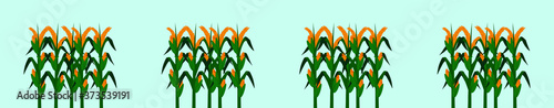 set of corn stalk cartoon icon design template with various models. vector illustration