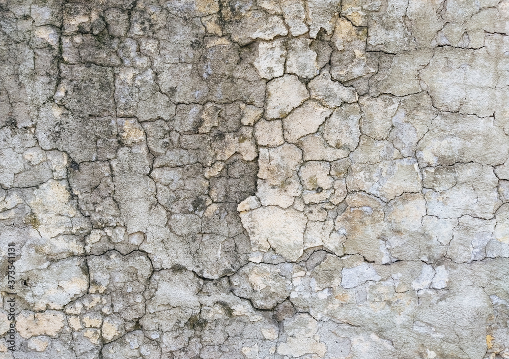 Wall background made of cracks. The texture of gray, dirty, cracked concrete. Wall background made of cracks. The texture of gray, dirty, cracked concrete.