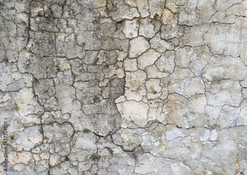 Wall background made of cracks. The texture of gray  dirty  cracked concrete.