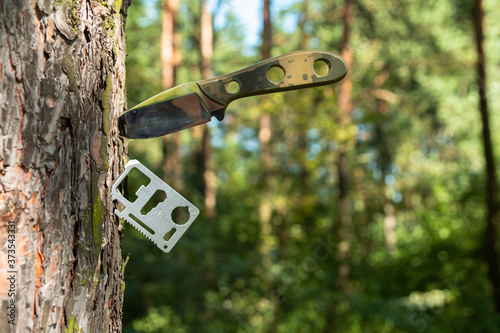 A large non-folding knife and a multitool stuck in a tree.