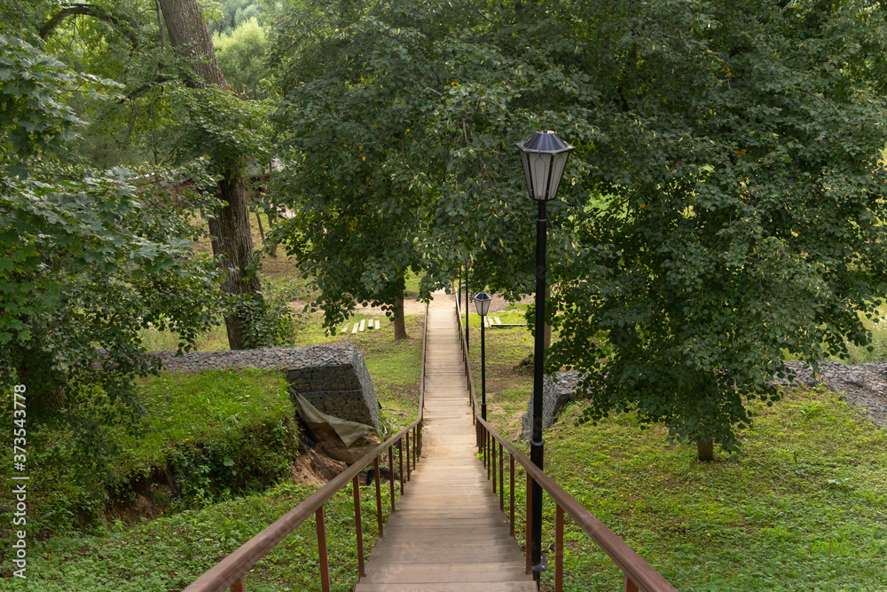 Wooden staircase with railings in the summer forest.