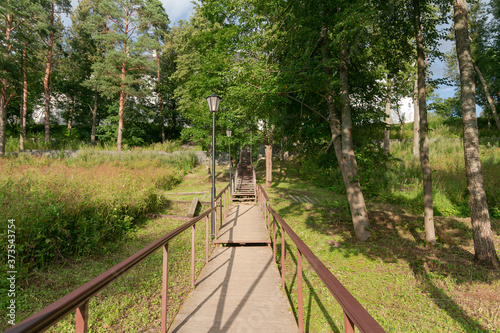 Wooden staircase with railings in the summer forest.