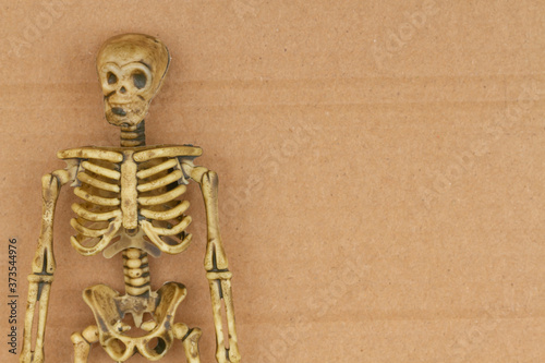 Skeleton on brown textured cardboard background