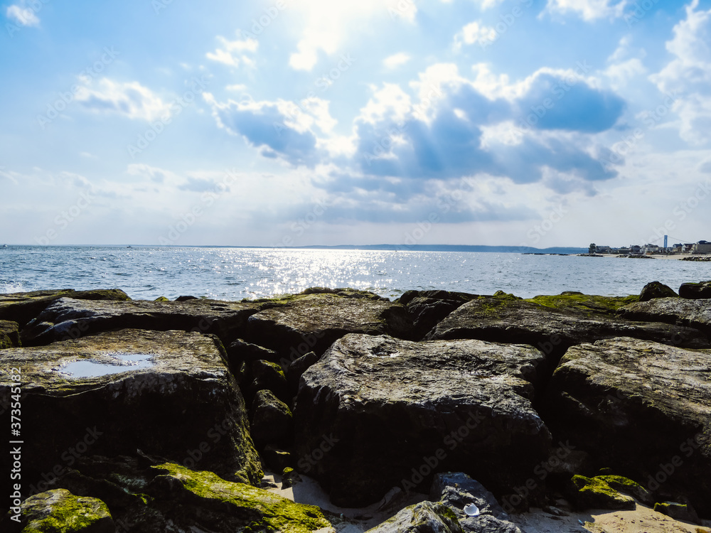 A view on Hudson river and close up of rocks covered with moss near the shore