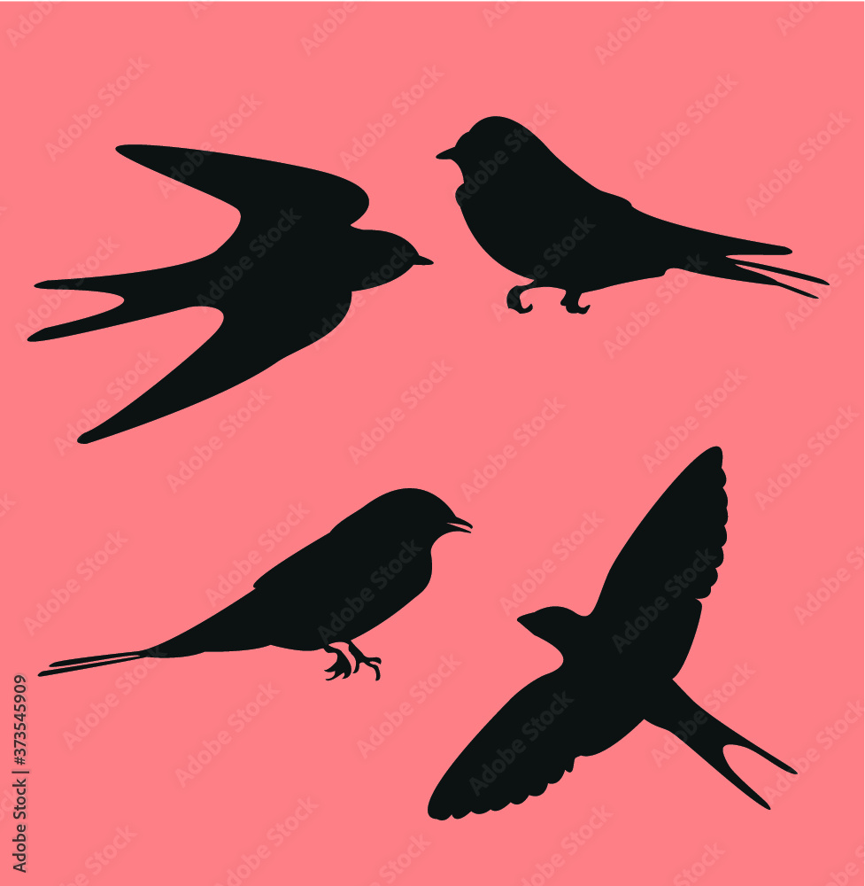 Obraz premium Bird silhouette