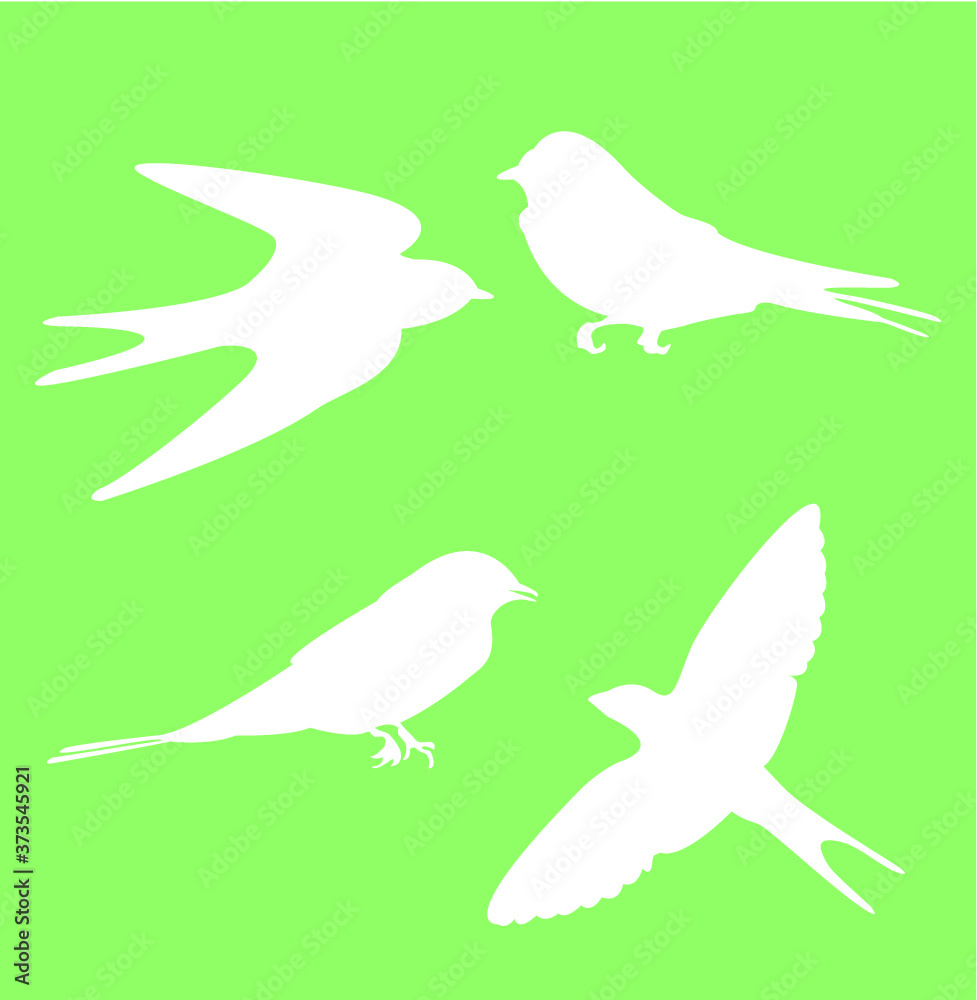 Bird silhouette Bird silhouette