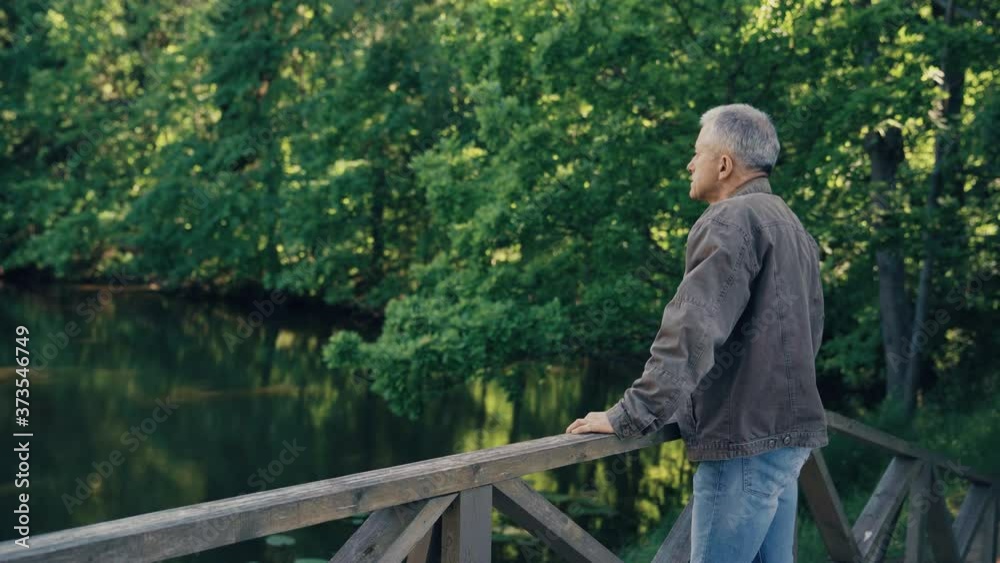 A man on the bridge admires the summer landscape. A man on the bridge admires the summer landscape.