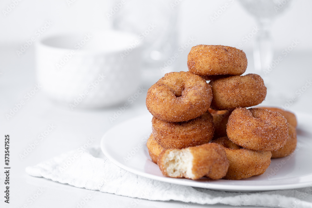 Cinnamon sugar mini donuts Cinnamon sugar mini donuts