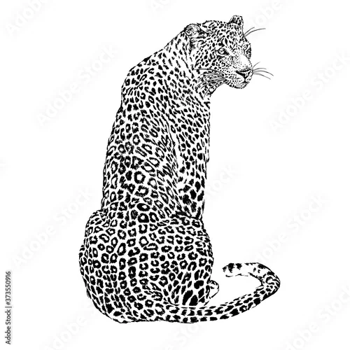 Fototapeta Japanese style leopard