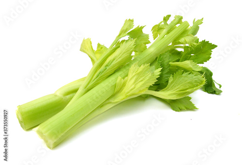 Stack Celery on White Background