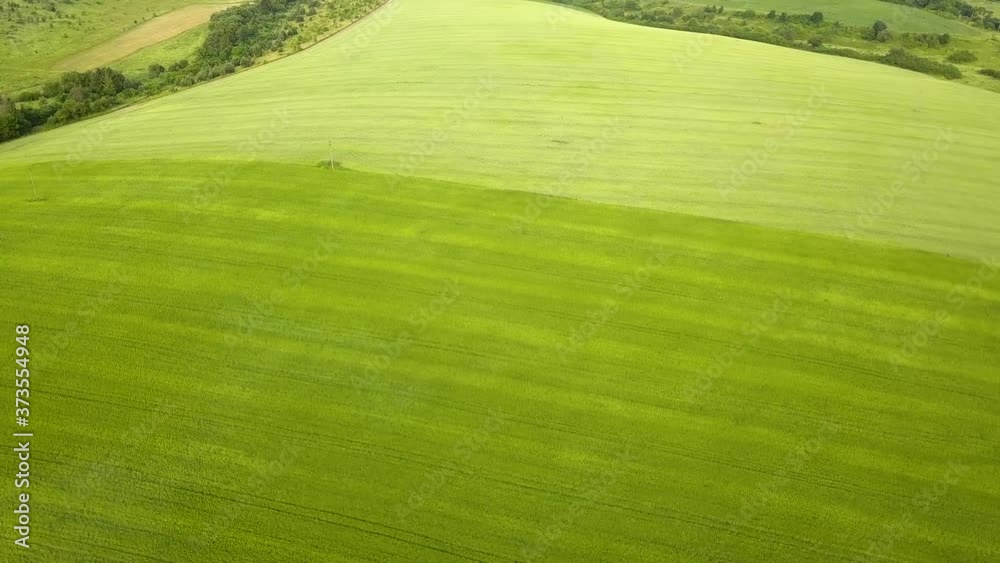 Aerial view of green agriculture fields in spring with fresh vegetation after seeding season. Aerial view of green agriculture fields in spring with fresh vegetation after seeding season.