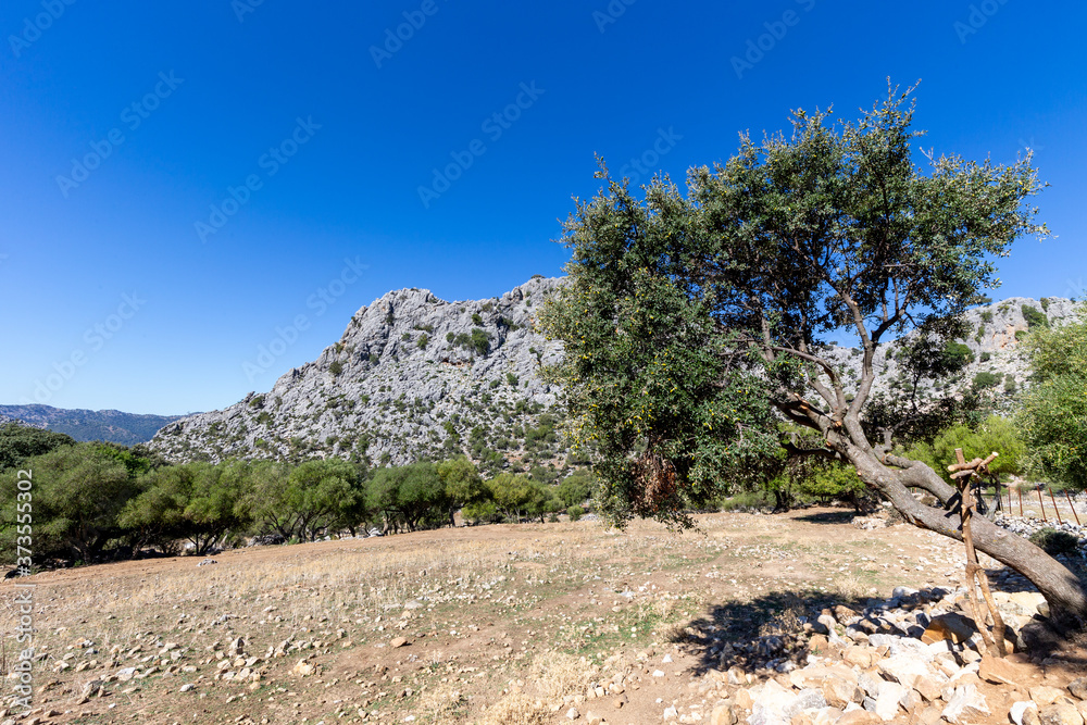 Mediterranean landscape in the Sierra de Grazalema, Andalusia, Spain.
