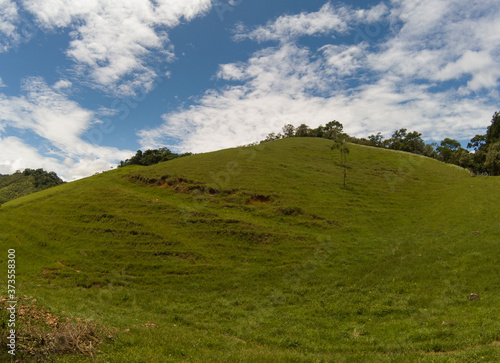 Grass and hill