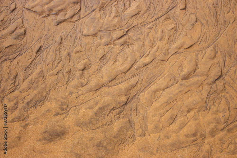 Fototapeta premium Wet sand texture. Beige sand macro. Dune background close up. Terrain pattern. Sand surface. 
