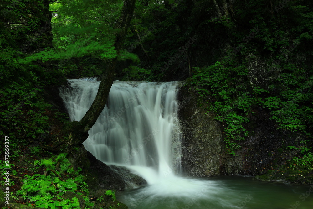 岩手県矢巾町　夏の幣掛の滝