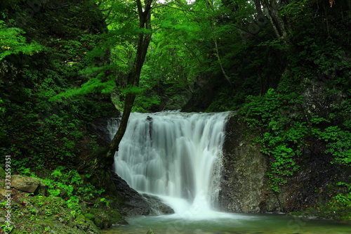 岩手県矢巾町 夏の幣掛の滝