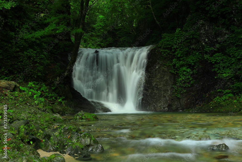 岩手県矢巾町　夏の幣掛の滝