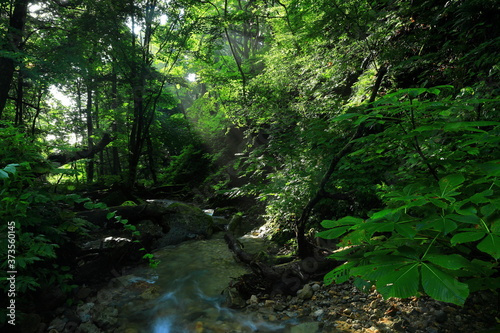 岩手県矢巾町　夏の大白沢の滝