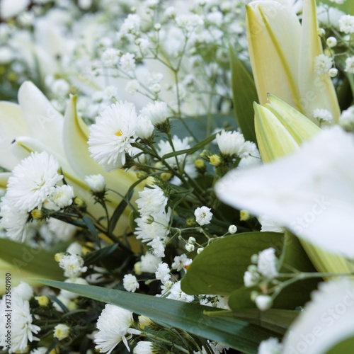 white flowers in the garden