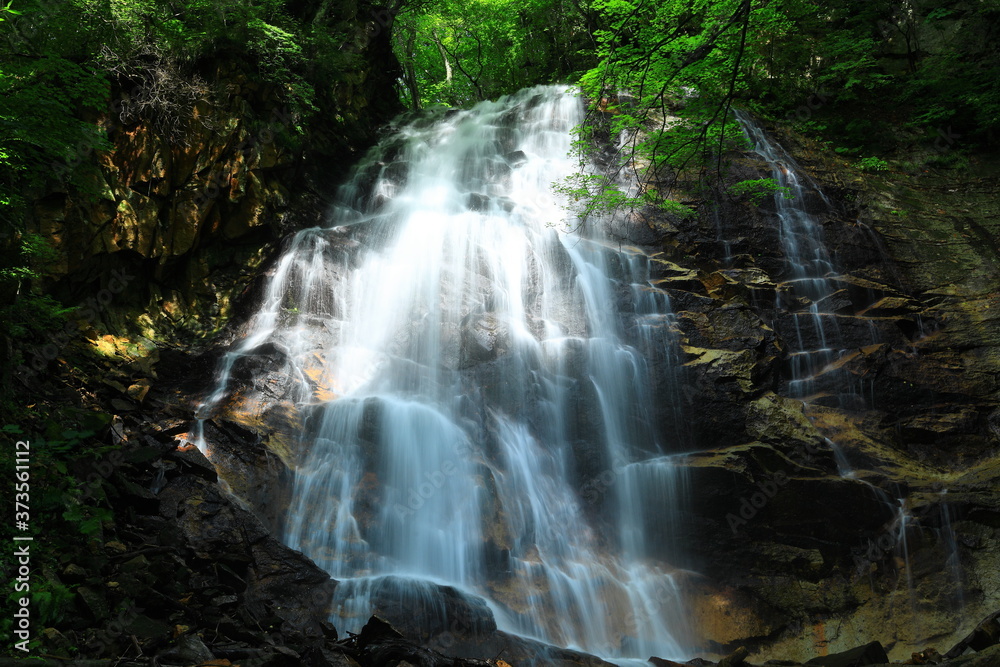 Fototapeta premium 夏の北の沢大滝