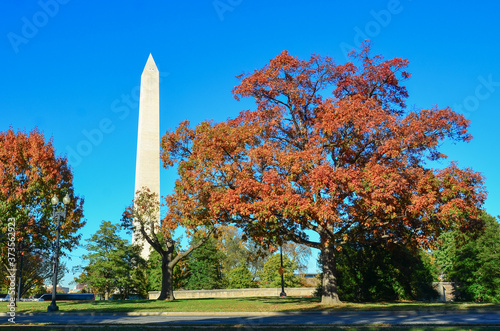 Autumn in Washington D.C. - Washington Monument 