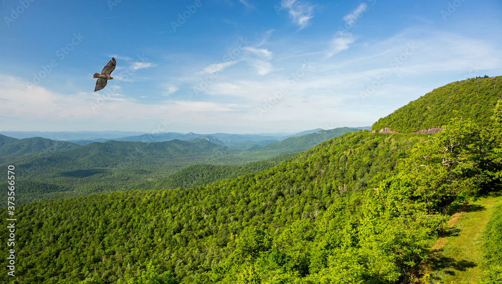 Blue Ridge Mountain Overlook Blue Ridge Mountain Overlook