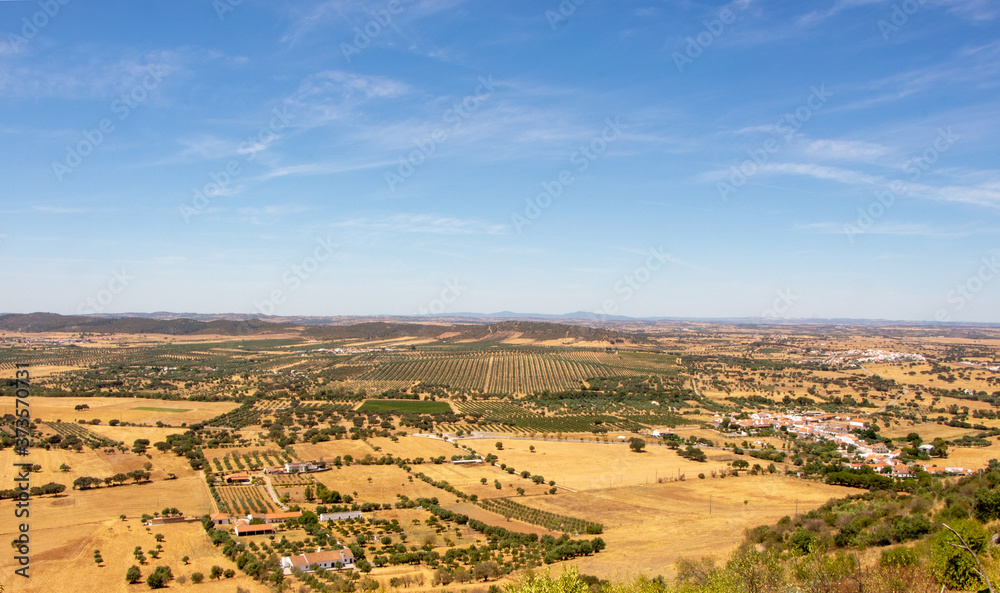 alentejo landscape in portugal from the castle of monsaraz