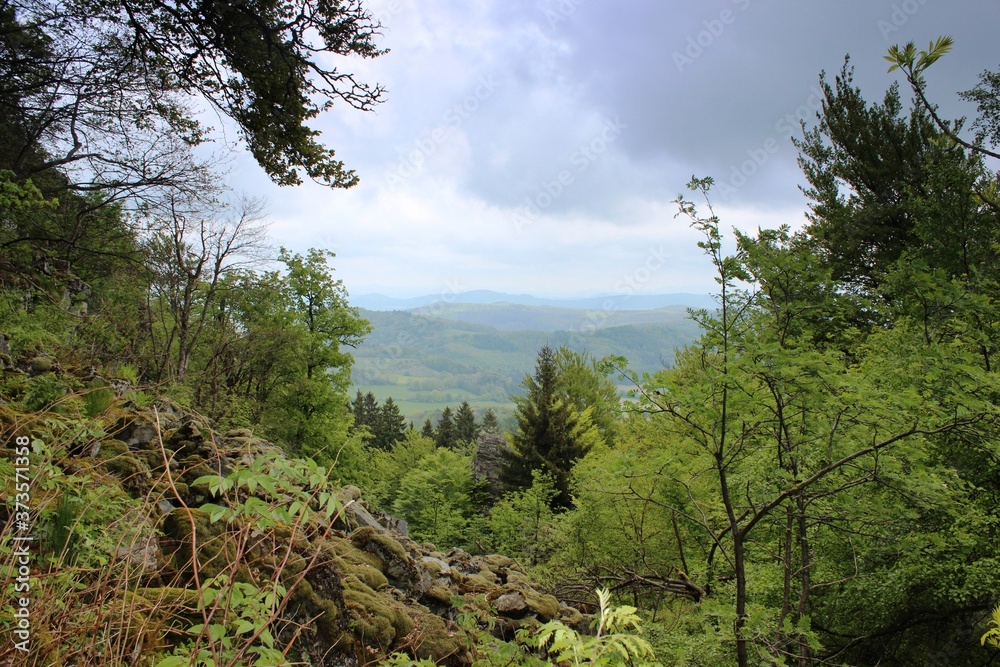 Fototapeta premium Wald und Flur