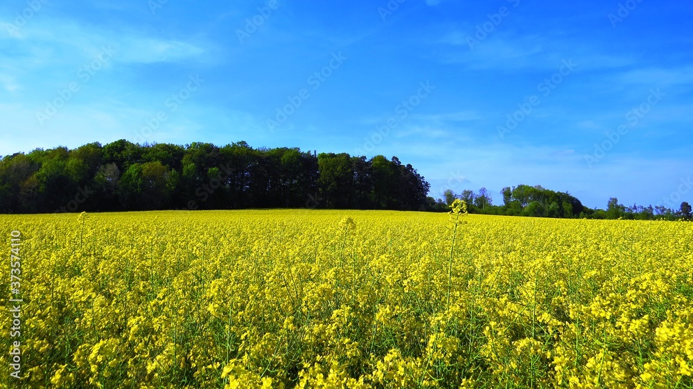 Obraz premium Landwirtschaft