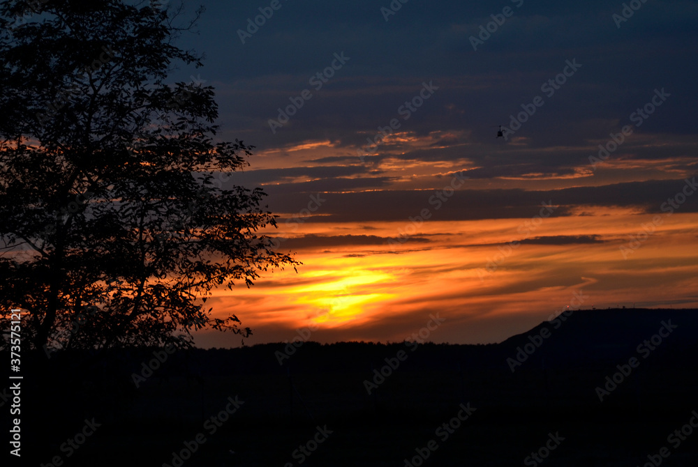 small helicopter in sunset sky on the field with tree, bemowo, warsaw, poland