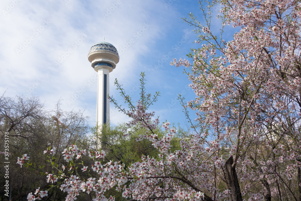 Spring in Ankara, the capital of modern Turkey - Ankara, Turkey Spring in Ankara, the capital of modern Turkey - Ankara, Turkey
