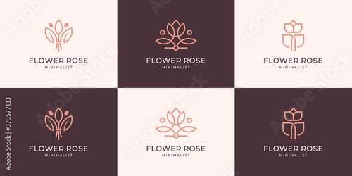 Set collection minimalist floral and leaf logo design feminine luxury line art.