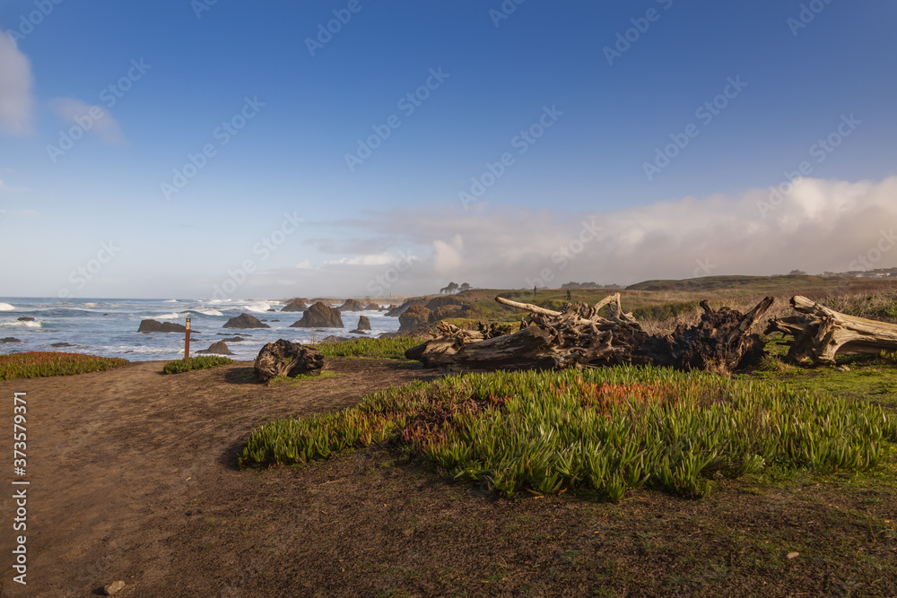 Fototapeta premium California coastline 