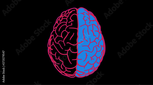 Right ans left hemispheres brain illustration on dark BG