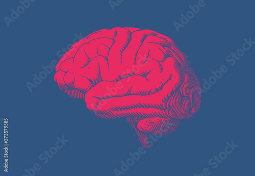 Red vintage brain illustration on blue BG