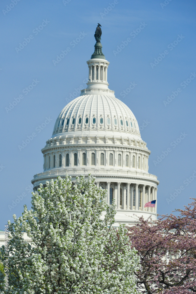 Obraz premium U.S. Capitol Building during spring - Washington D.C. United States of America