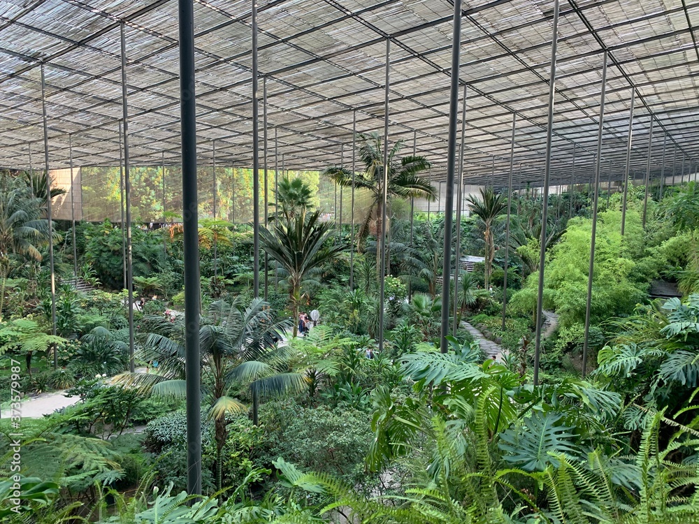 The Cold Greenhouse, Estufa Fria, is a greenhouse garden located in Parque Eduardo VII, Lisbon center, Portugal