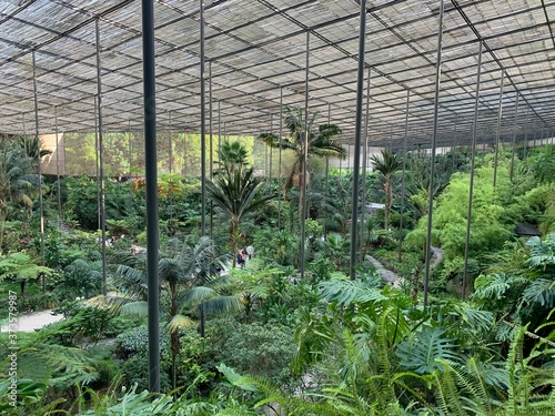 The Cold Greenhouse, Estufa Fria, is a greenhouse garden located in Parque Eduardo VII, Lisbon center, Portugal