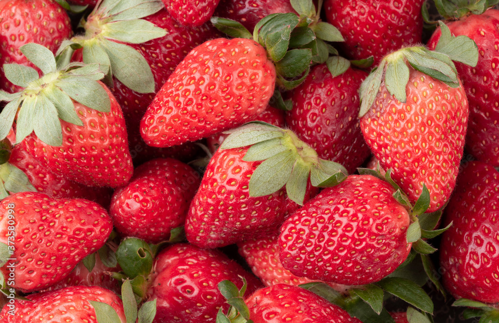 Top view closeup of a group of strawberries Top view closeup of a group of strawberries