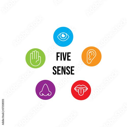 Five sense icon. Logo vector illustration.