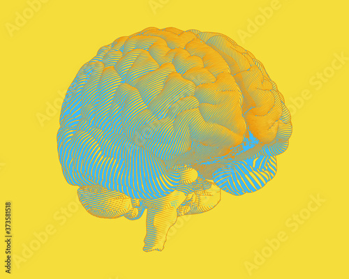 Colorful human brain illustration in retro style