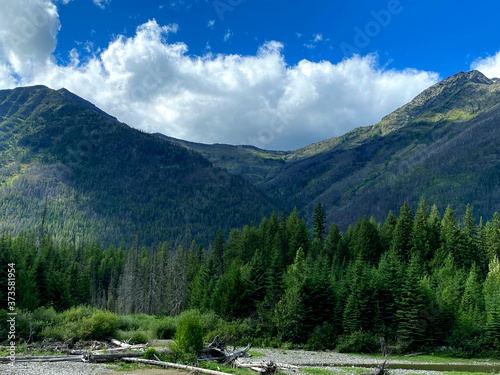 Forest mountain landscape