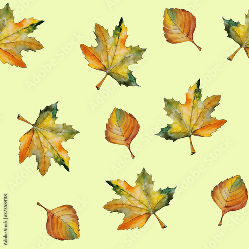 seamless pattern bright autumn leaves collection, watercolor hand drawing, white background isolated